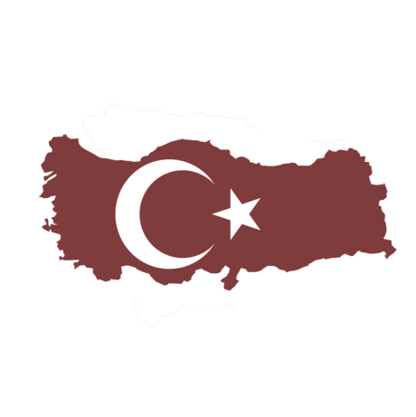 V&F Distributor Icon Turkey