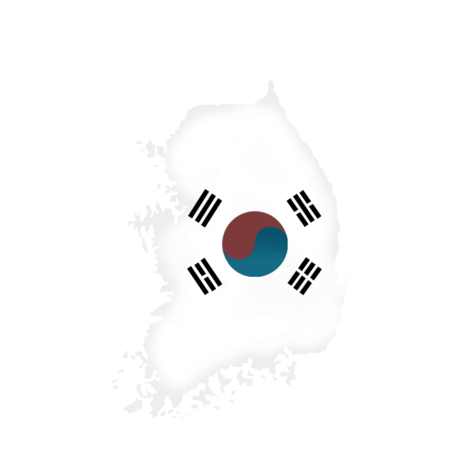 V&F Distributor Icon South Korea 