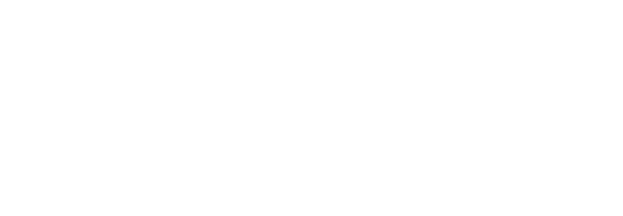 V&F Software Icon Premiere Guard